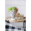 Greek Style Cement Head Planter - Indoor Outdoor Home Garden Decor, D6" x 9"