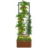 Outsunny Galvanized Raised Garden Bed, 24" x 24" x 11.75" Outdoor Planter Box with Trellis Tomato Cage and Open Bottom for Climbing Vines, Vegetables,